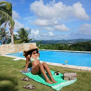 https://art-retreat-studio-adventures.comcaribbean.com
